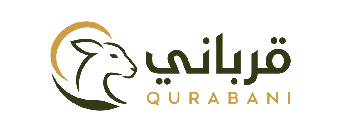 وداد الهدى